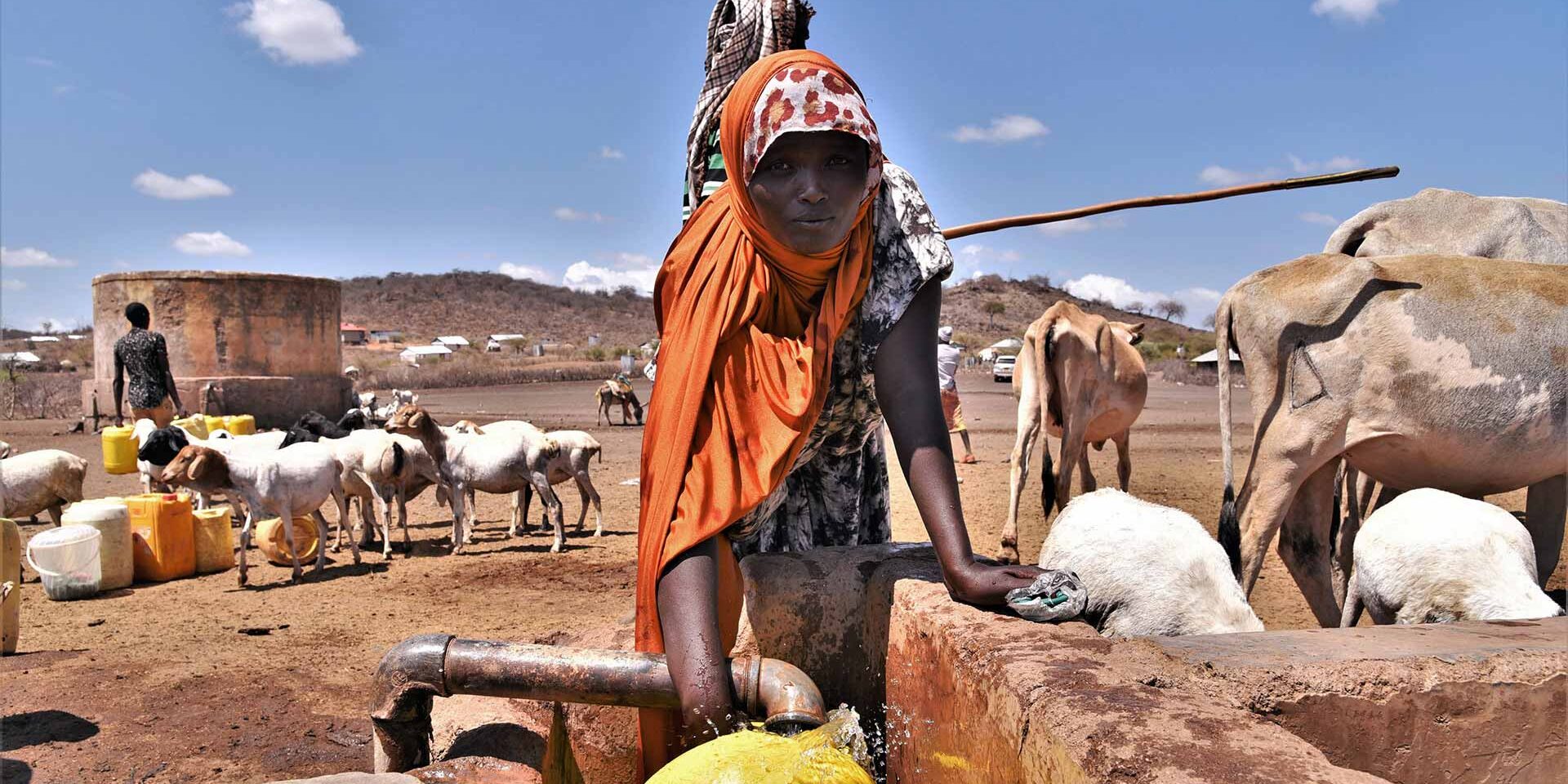 The forgotten lot of Pastoralists